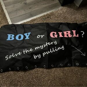 Gender Reveal Banner with Blue and Pink Text